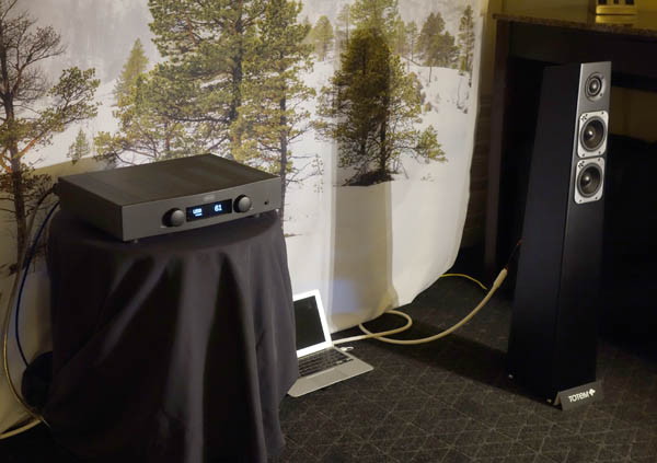 Totem tribe tower best sale stereophile