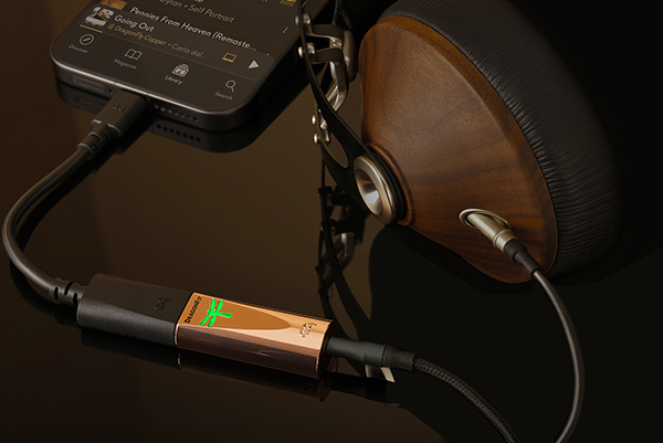  090326.stphdragonflyheadphones1.jpg