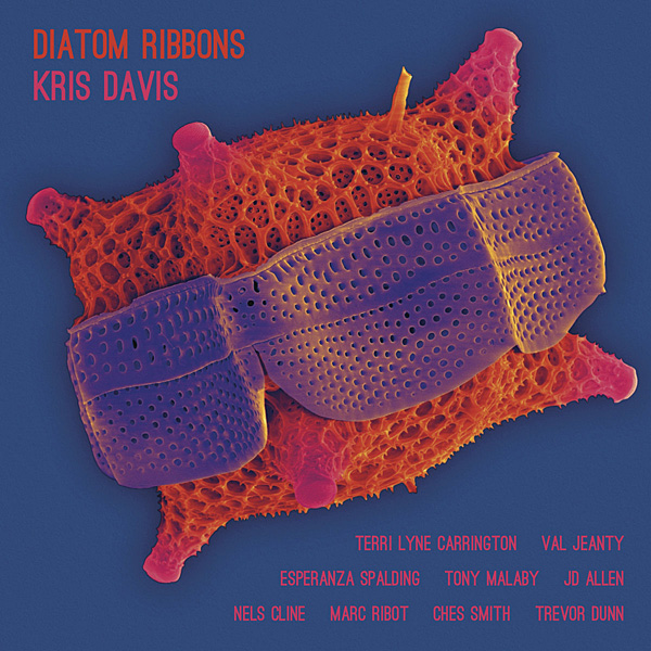 1122fester.diatom