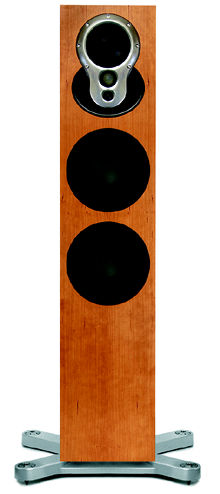 tsi300