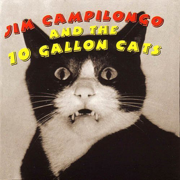 520campilongo.cats