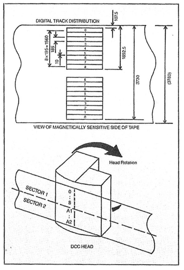 666DCC-fig2.jpg