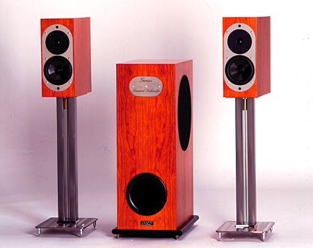 ASW Genius 100 loudspeaker 