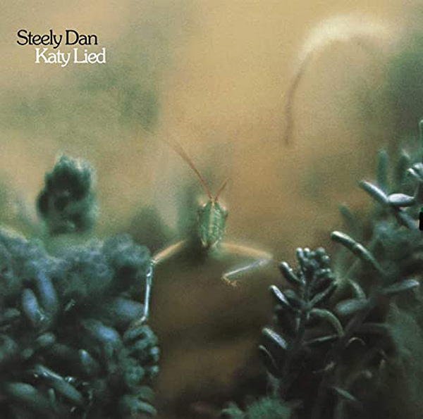 822lkv.Katy-Lied