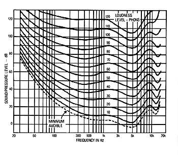 scan6.jpg