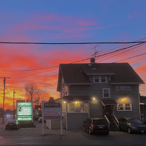 Ohm Walsh 5 loudspeaker | Stereophile.com