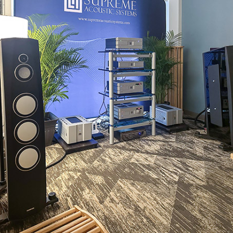 Dynamic Sound Unleashed: BorderPatrol, Living Voice, Triode Wire