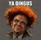 Dingus Mcgee's picture