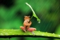 Profile picture for user speter04