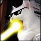 Profile picture for user Plissken