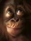 Profile picture for user biver
